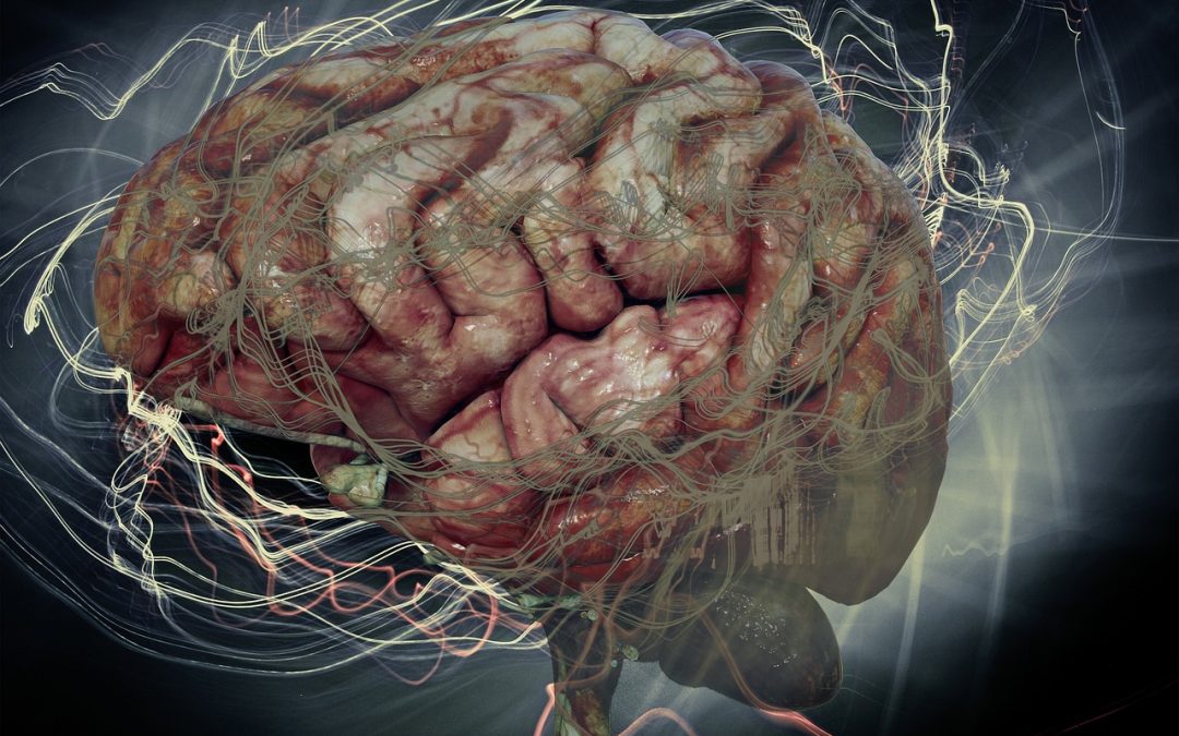 Control emocional: Cómo Manejar las Emociones para el Éxito.